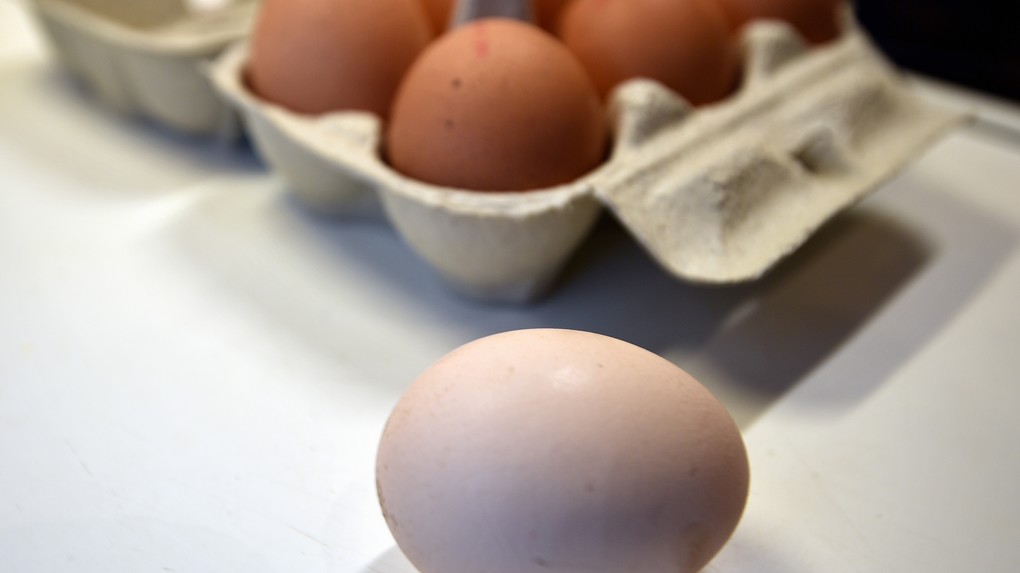 Illustration shows eggs in a kitchen, Tuesday 08 August 2017. Millions of eggs have been pulled from shops in Belgium, the Netherlands and Germany as fipronil was detected in samples. Insecticide fipronil is used to destroy lice and ticks, but it's forbidden for use with animals intended for human consumption. BELGA PHOTO ERIC LALMAND