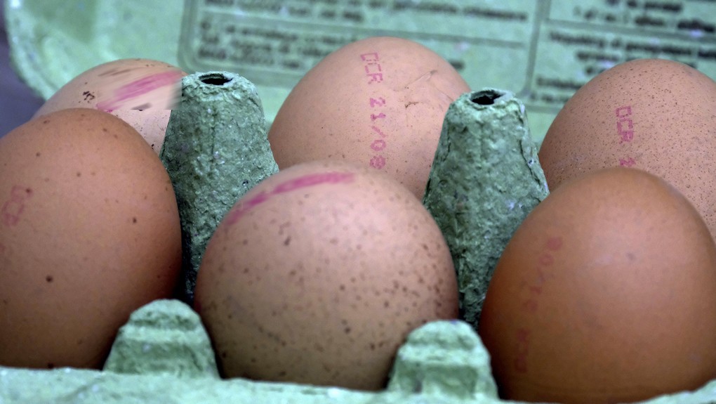 Illustration picture shows a box with eggs, in Gavere, Sunday 06 August 2017. The Belgian federal food safety agency started an investigation into the use of the dangerous and forbidden insecticide Fipronil in several poultry companies. The scandal has widened into the Netherlands and Germany. Several supermarkets have taken all eggs off the shelves and millions of eggs are being destroyed. BELGA PHOTO NICOLAS MAETERLINCK