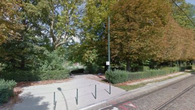 Anderlecht va abattre 80 arbres dans le parc Astrid : des riverains s’interrogent