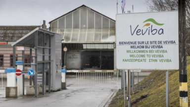 Veviba: la Fugea appelle les éleveurs à la mobilisation à Bruxelles le 19 mars