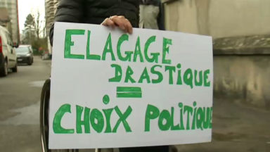 Élagage des marronniers à Forest: le collectif citoyen entendu par Pascal Smet