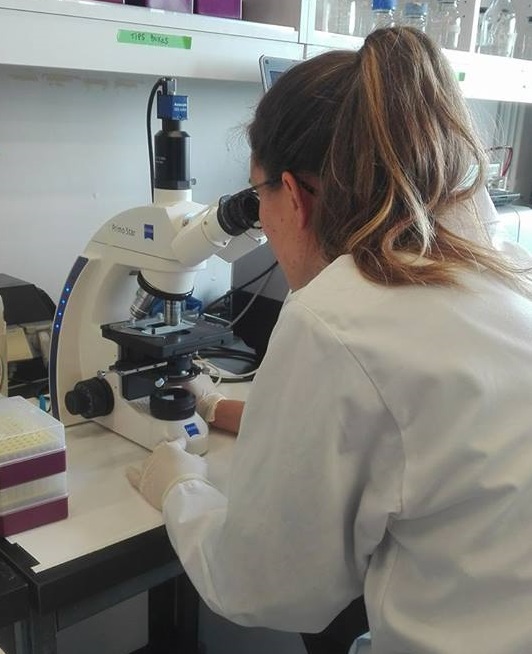 Découverte des chercheurs de l'UCL dans la lutte antibactérienne