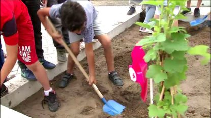 Molenbeek : une nouvelle ferme pédagogique pour enseigner la nature en ville - BX1
