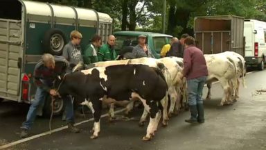 Pas d’exposition d’animaux pour le marché annuel de Jette ce lundi