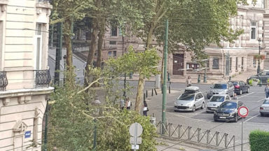 Saint-Gilles: les lignes de tram 81 et 97 interrompues après la chute d’un arbre