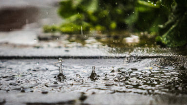 Pluie : le Roseau à Uccle, l’un des tournois de tennis majeurs du sud de Bruxelles, annulé