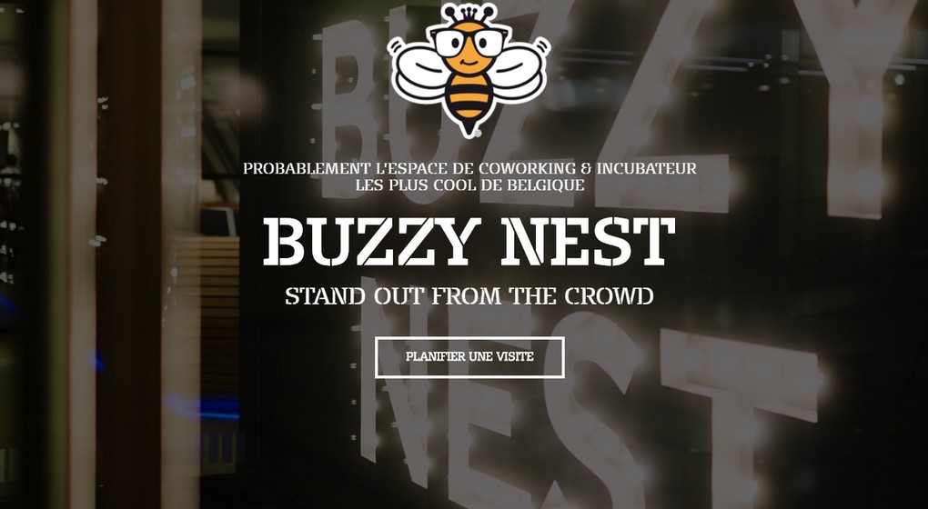 BuzzyNest - Logo