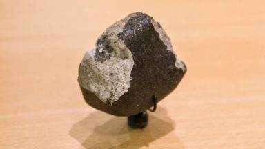 La météorite de Tintigny fait son entrée au Muséum des Sciences naturelles de Bruxelles