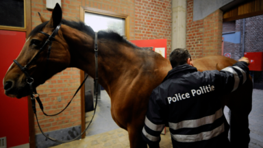 Etterbeek lance la première patrouille policière à cheval