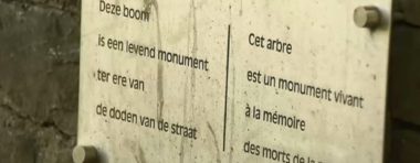 Arbre Morts de la rue - Hommage Sans-abris décédés - BX1