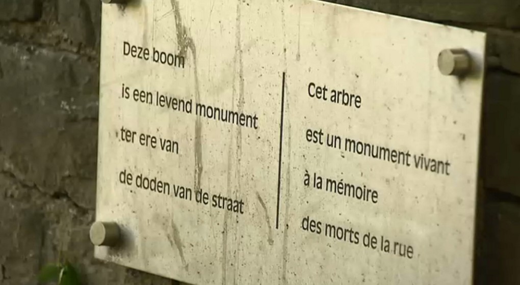 Arbre Morts de la rue - Hommage Sans-abris décédés - BX1