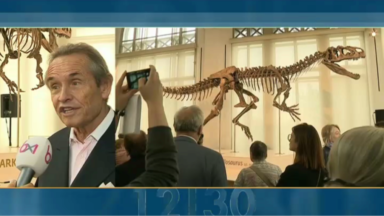 Le Musée des Sciences naturelles accueille un dinosaure de 8,70 mètres de long