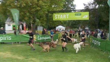 L’Ecotrail de Bruxelles intègre une première compétition de canicross