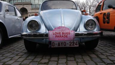 300 Coccinelles rassemblées pour la 12e Love Bugs parade