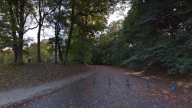 50 arbres dangereux abattus dans le parc de la Woluwe