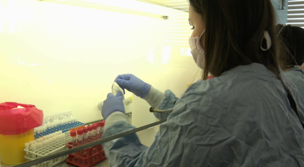 Test laboratoire Coronavirus - ULB - Capture BX1