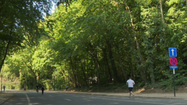 “Il m’a attrapée par la gorge”: des agressions sexuelles en série dans le Bois de la Cambre, une victime témoigne