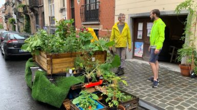 Schaerbeek : le Citizen Garden a fait son retour devant le garage de la rue Devreese