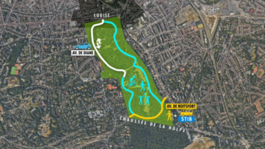 Circulation dans le bois de la Cambre : Uccle va introduire un recours contre la Ville de Bruxelles