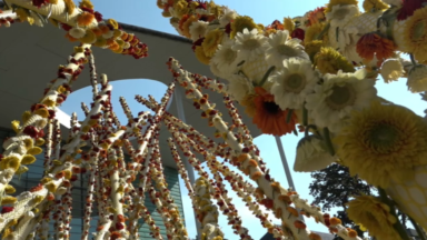 Une installation florale géante devant le bâtiment Solvay