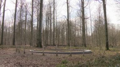 Forêt de Soignes : une députée veut une meilleure visibilité pour le mémorial des victimes des attentats