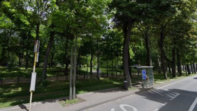 Koekelberg : 25 des 26 arbres de l’arrêt Besme sont sauvés