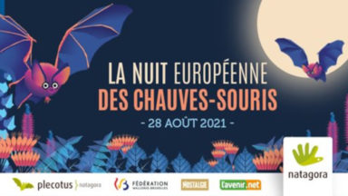 La Nuit européenne des chauves-souris aura lieu le 28 août