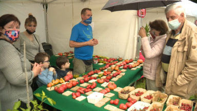 Des tomates par milliers, pour le Tomato Festival de la Ferme Nos Pilifs