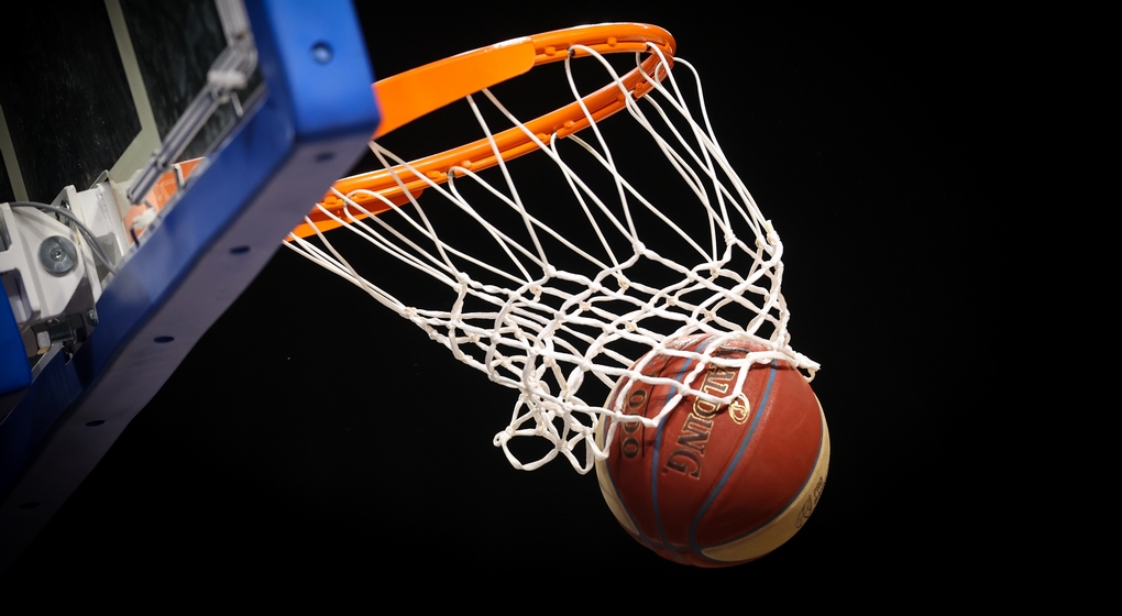 Panier Ballon Basket Basket-ball - Belga David Pintens