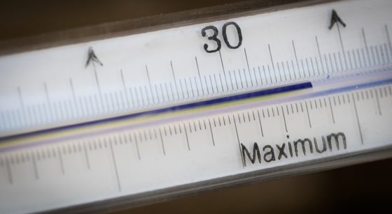 Thermomètre Mercure Température 30 degrés Chaleur - Belga Benoit Doppagne