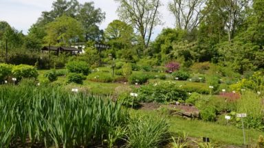 Auderghem : le Jardin botanique Jean Massart s’ouvre au public