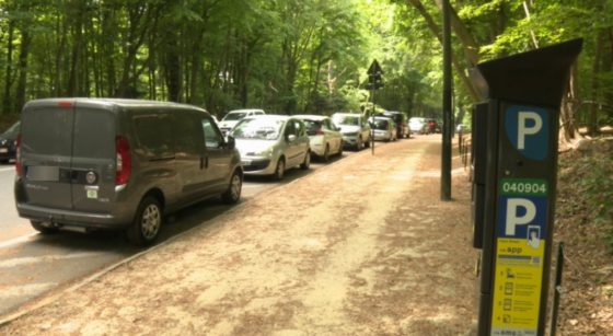 Horodateur Bois de la Cambre Parking Stationnement - Capture BX1