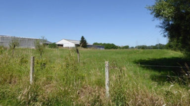 Sint-Pieters-Leeuw : le projet de hangar agricole dans la vallée du Vogelzangbeek annulé