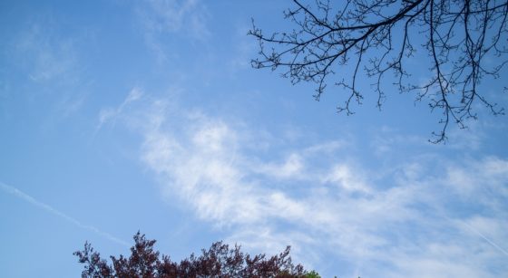 Ciel bleu Légers nuages Eclaircies - Belga Siska Gremmelprez
