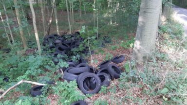 140 pneus retrouvés par les garde-forestiers dans la Forêt de Soignes