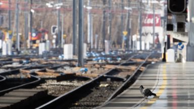 SNCB : le trafic a repris entre Bruxelles-Nord et Bruxelles-Schuman