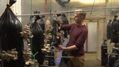 Permafungi (économie circulaire) construit sa nouvelle usine à Forest