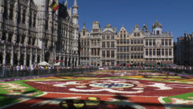 Grand-Place : le tapis de fleurs fait sensation auprès du public