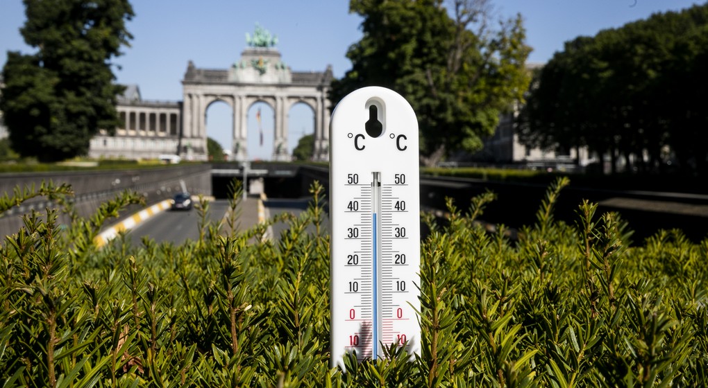 Thermomètre Chaleur Chaud Soleil Température Cinquantenaire - Belga Hatim Kaghat