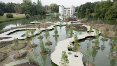 Le Jardin botanique de Meise présente son nouvel espace aquatique : le “Jardin de l’île”
