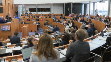Le Parlement bruxellois demande la fin des longs transports d’animaux, GAIA réagit