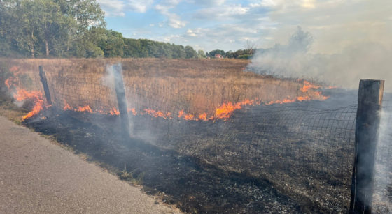 incendie haren vegetation - Photo : Siamu Bruxelles