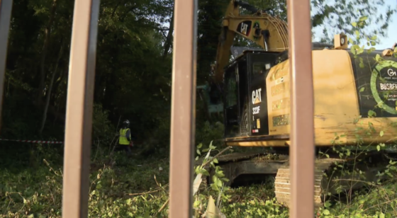 Schaerbeek : des arbres obligés d'êtres abattus pour accéder au chantier sur le siège de la VRT - Photo: BX1