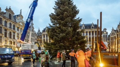 Le sapin de Noël est arrivé sur la Grand-Place de Bruxelles