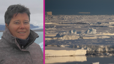 Ambassadrice des femmes scientifiques, la Bruxelloise Sigrid Maebe se rendra l’an prochain en Antarctique