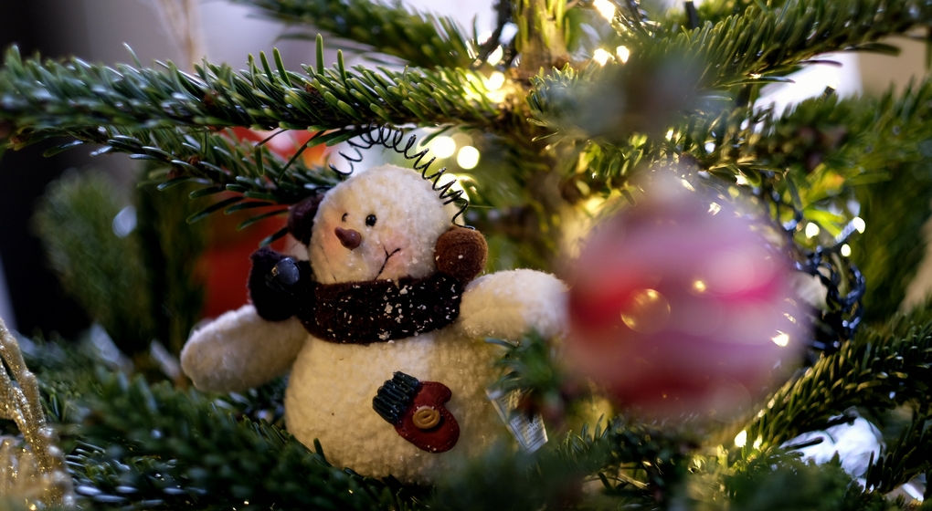 Sapin de Noël Décorations de Noël - Belga Eric Lalmand