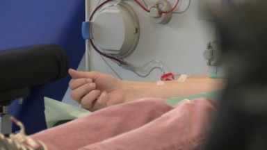 Le Conseil Supérieur de la Santé demande de ne plus recommander le don de sang après 65 ans