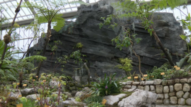 Meise : inauguration de deux nouvelles serres au Jardin Botanique