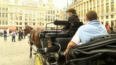 Ville de Bruxelles : des calèches électriques pour remplacer les chevaux à l’horizon 2024