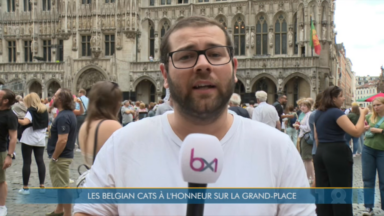 Basket : les Belgian Cats prendront un bain de foule ce soir à la Grand-Place de Bruxelles